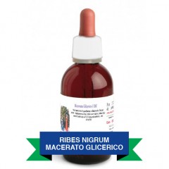 RIBES NIGRUM - RIBES MACERATO GLICERICO 
